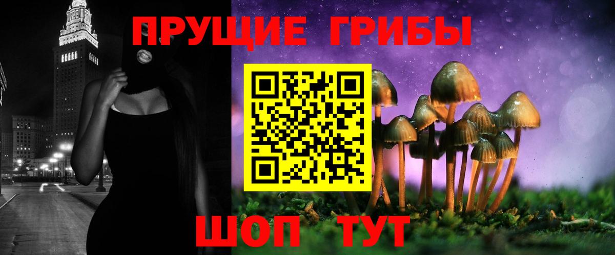 Будённовск  Галлюциногенные грибы мицелий  Вход с VPN  Галлюциногенные грибы GOLDEN TEACHER 